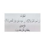 رايس اب اقراص بذور دوار الشمس 120 غ