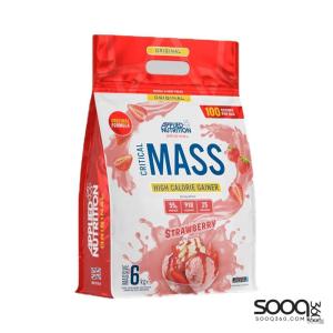 يابلايد ماس 6كغم 100سكوب 25 حصة فراولة