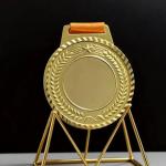 ميدالية بطولة