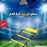 سلم تدريب كرة قدم احترافي