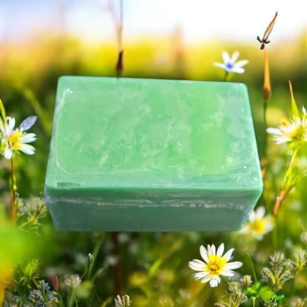 صابون الغار