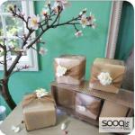 صابون زيت الزيتون