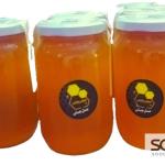 عسل الجبلي البلدي الأردني