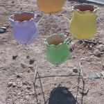 ستاند مع قواوير