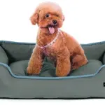 سرير كلاب Cabbay.