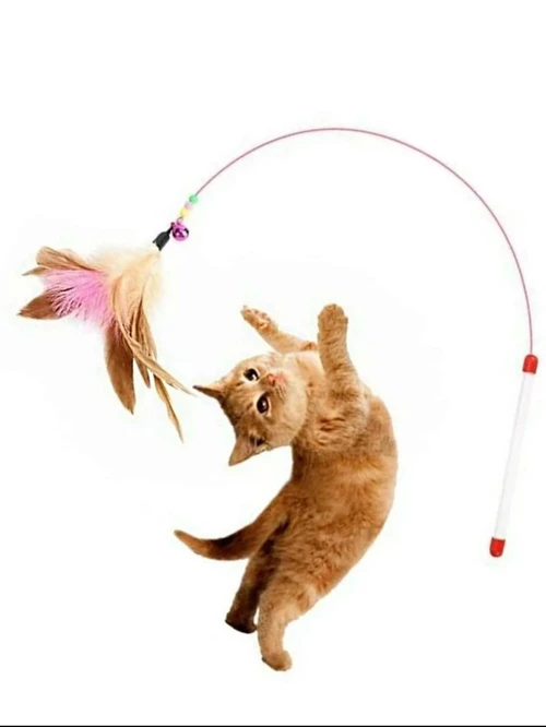 لعبة سنارة ريشة لقطط Cat Feather Toy