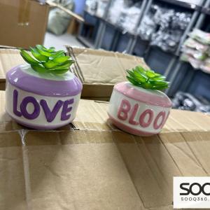 منظر قوار زراعي