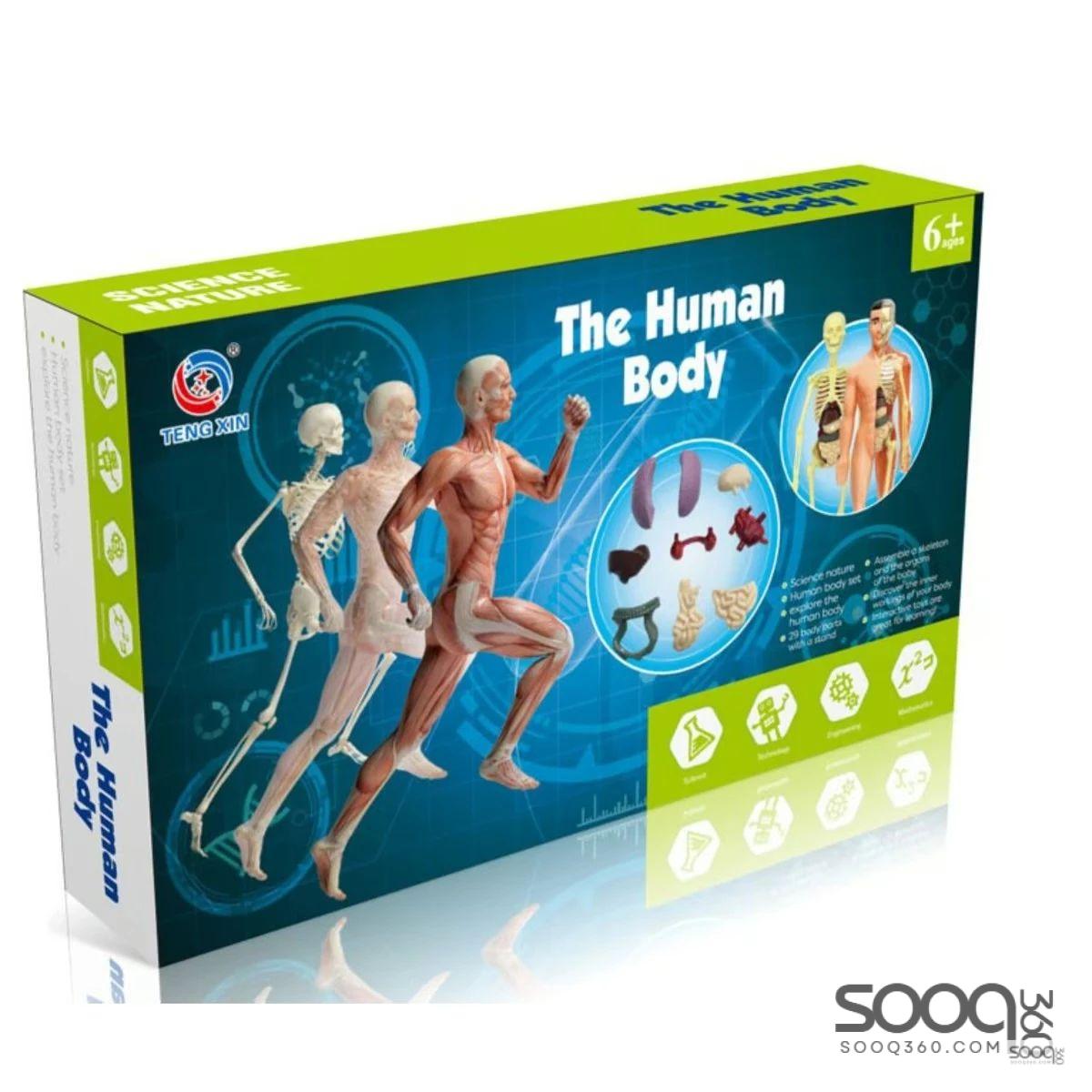 لعبةاستكشاف جسم الإنسان