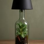 تيراريوم لامب