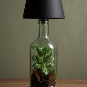 تيراريوم لامب